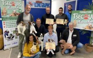 Formation de formateur en premiers secours chien chat octobre 2024